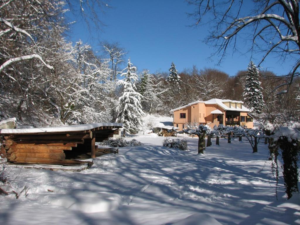 Pyrenees Emotions, Eco-Responsables, Nature, Sports Aventures Malvézie Exteriör bild
